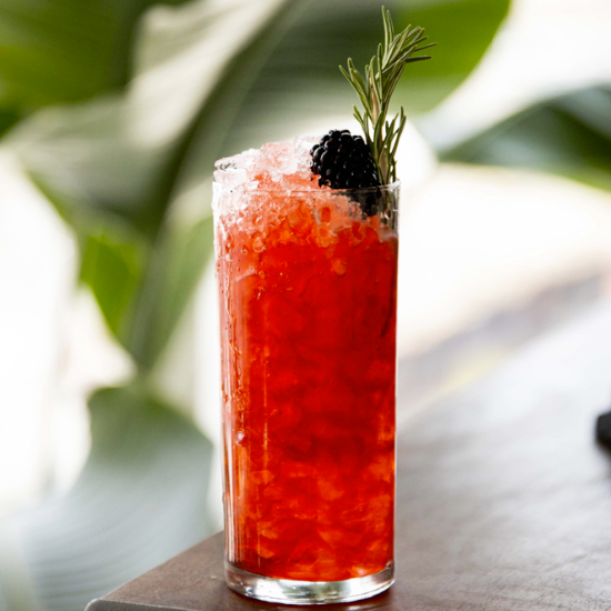 Blackberry Highball with Seedlip Garden 108 - Virgin Cocktail & Mocktail Recipe